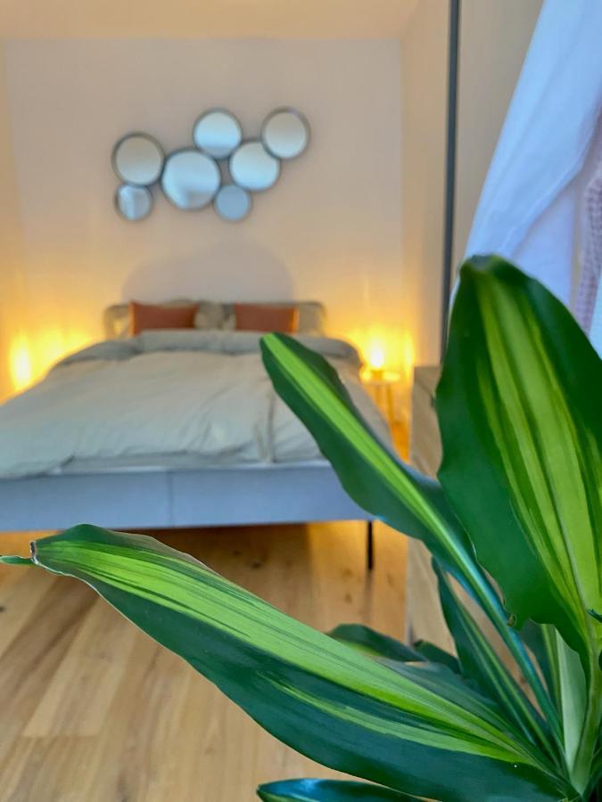 Apartment Schloss & Altstadt - Modern & Stylish Fuer 6 Kueche